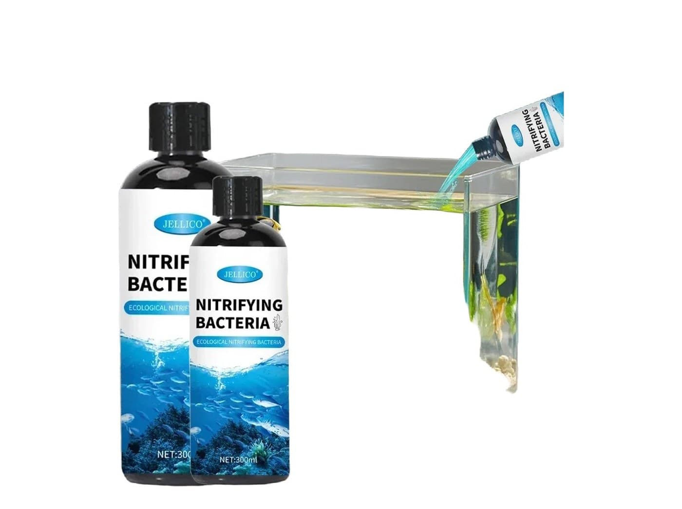Water Care & Plant Nutrition