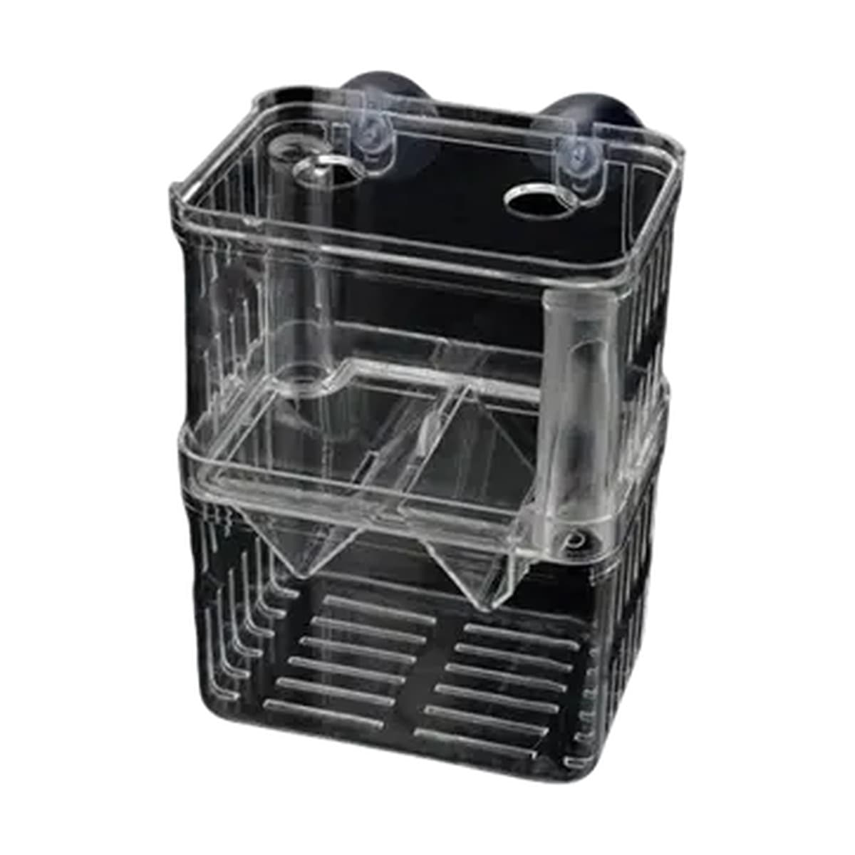Clear acrylic hang-on aquarium breeder box with suction cups