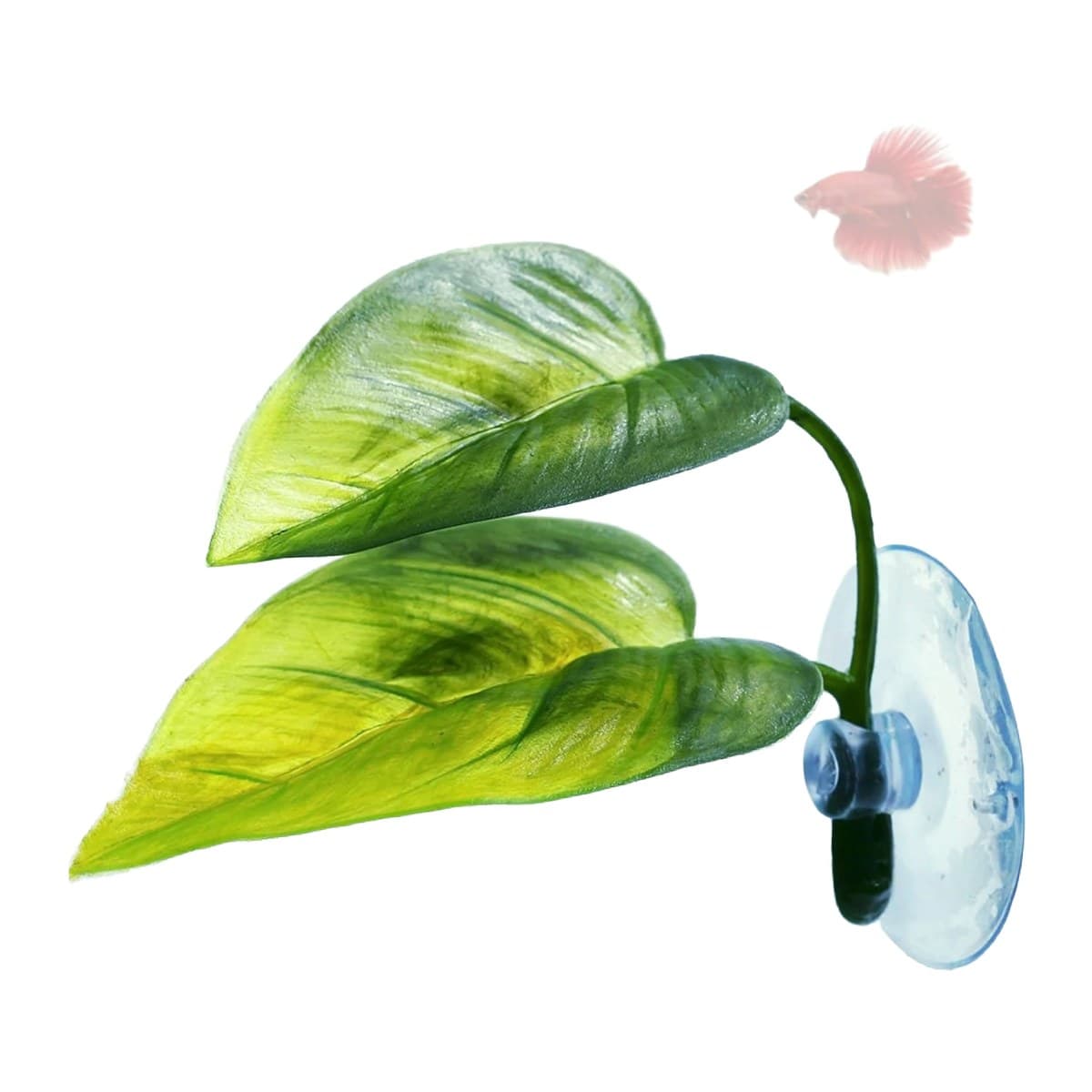 A silk leaf that suction-mounts near the surface — the classic betta resting spot. Bettas sleep on it, spawn u