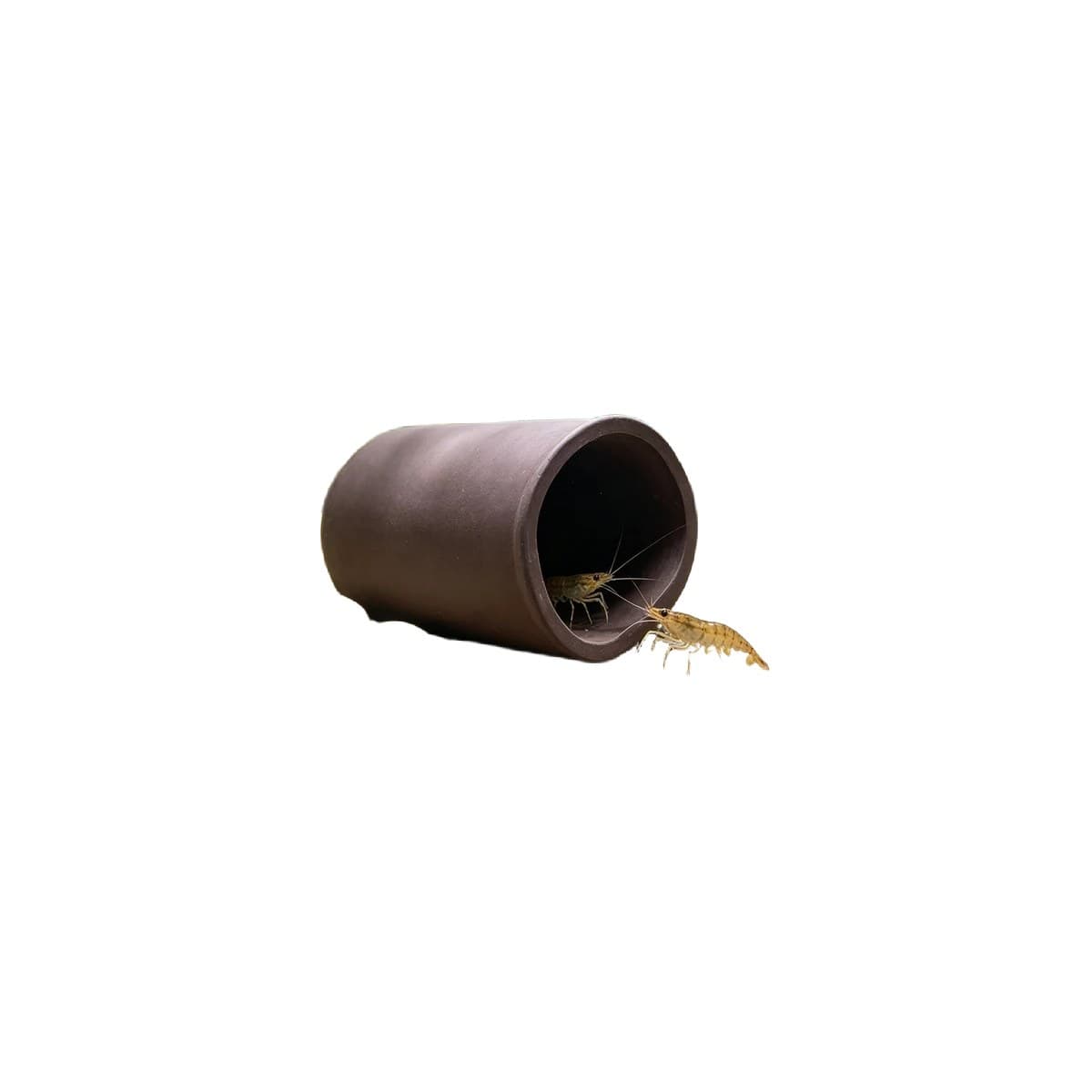 A fired-ceramic cave that gives shy fish and shrimp a dark, defensible shelter — plecos lay inside it, cichlid