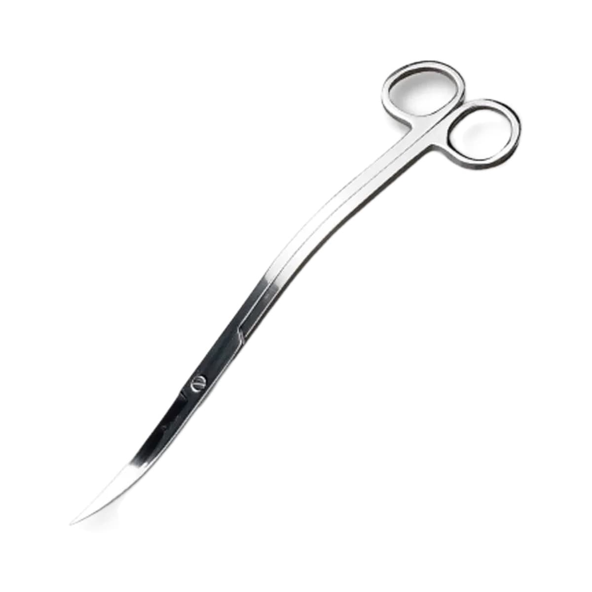 Curved Spring Scissors — 25 cm