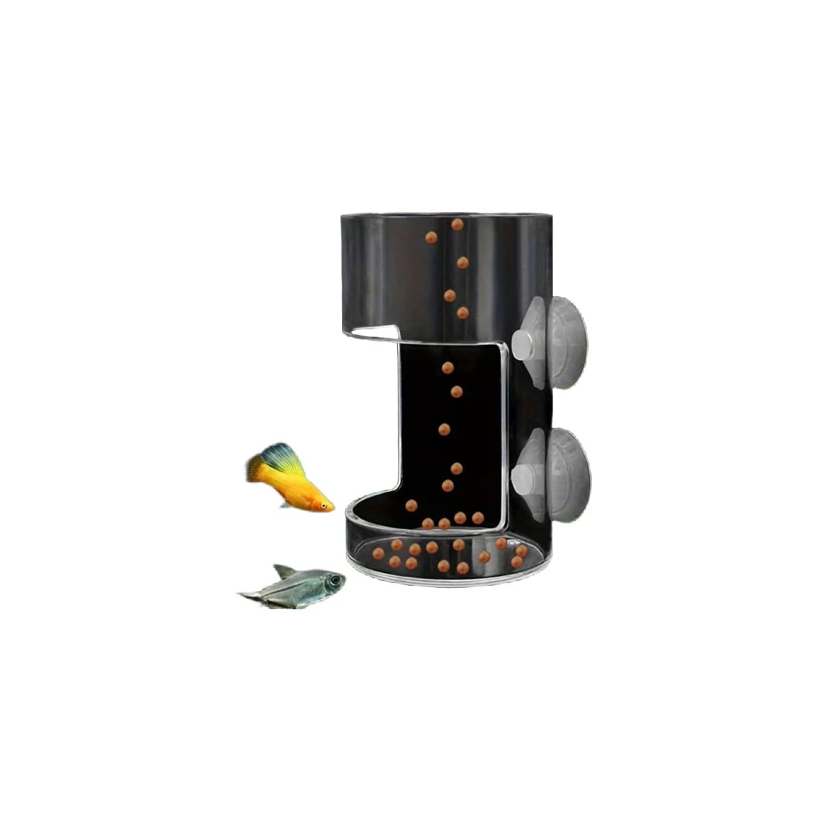 A clear acrylic feeding station that suctions inside the glass. Flakes and pellets go in the top chute, fish l