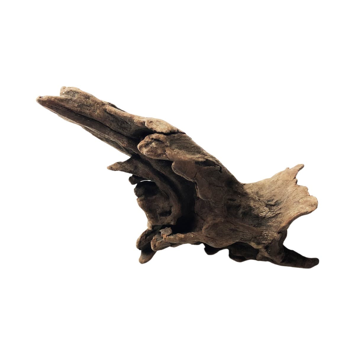 Spider Wood - Centrepiece Set