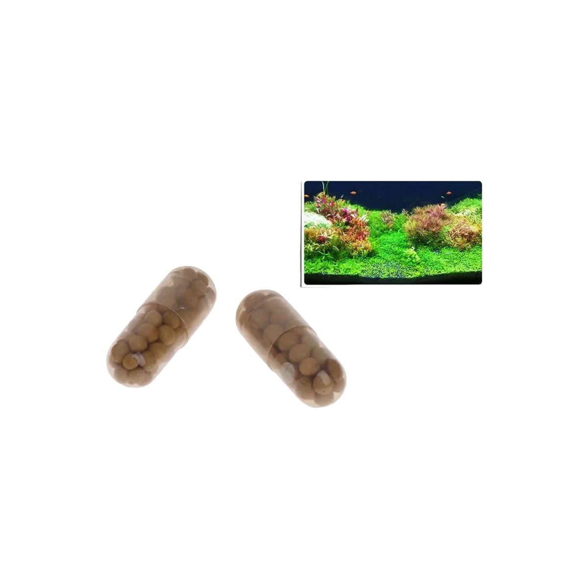 Slow-release fertilizer capsules pushed into the substrate under heavy root feeders — swords, crypts, vallisne